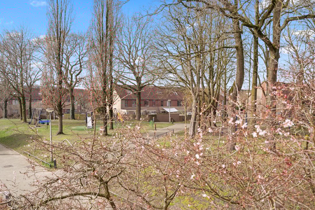 Photo 52 of Fagotpad 8