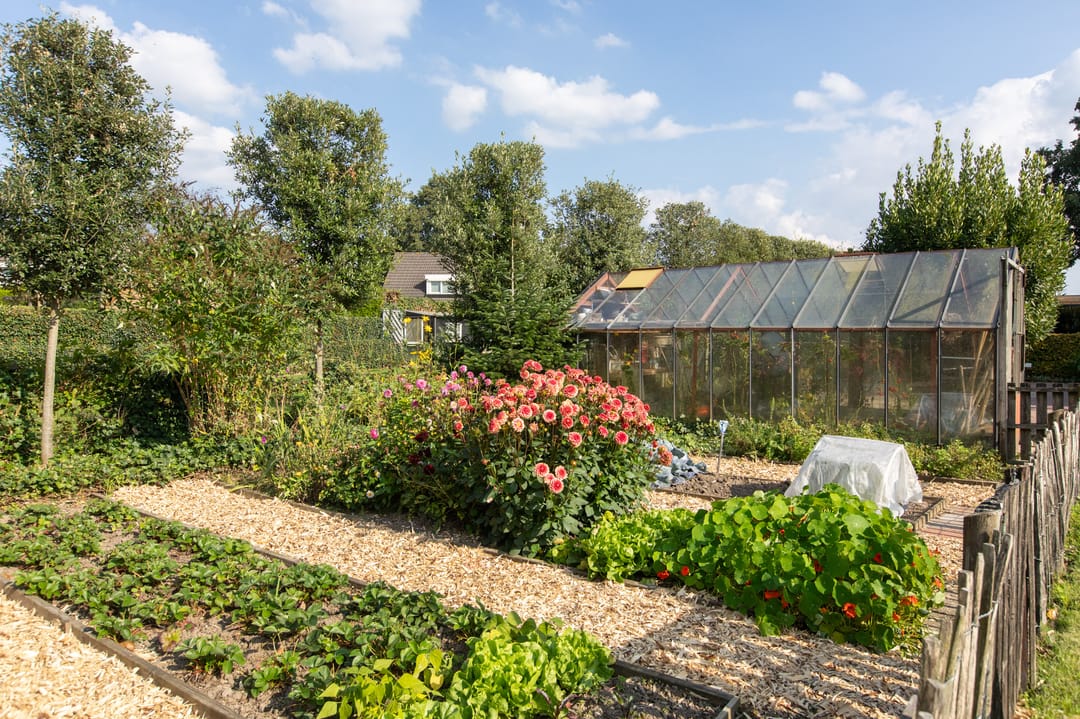 Foto 67 van Veldstraat 16