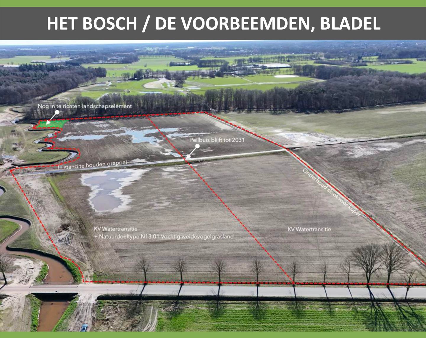 Het Bosch - Bladel - Afbeelding 1