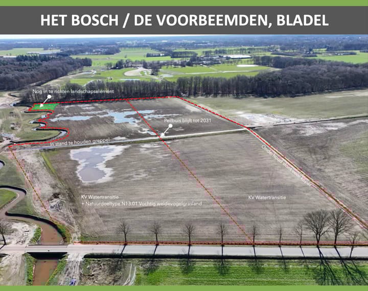 Het Bosch, Bladel