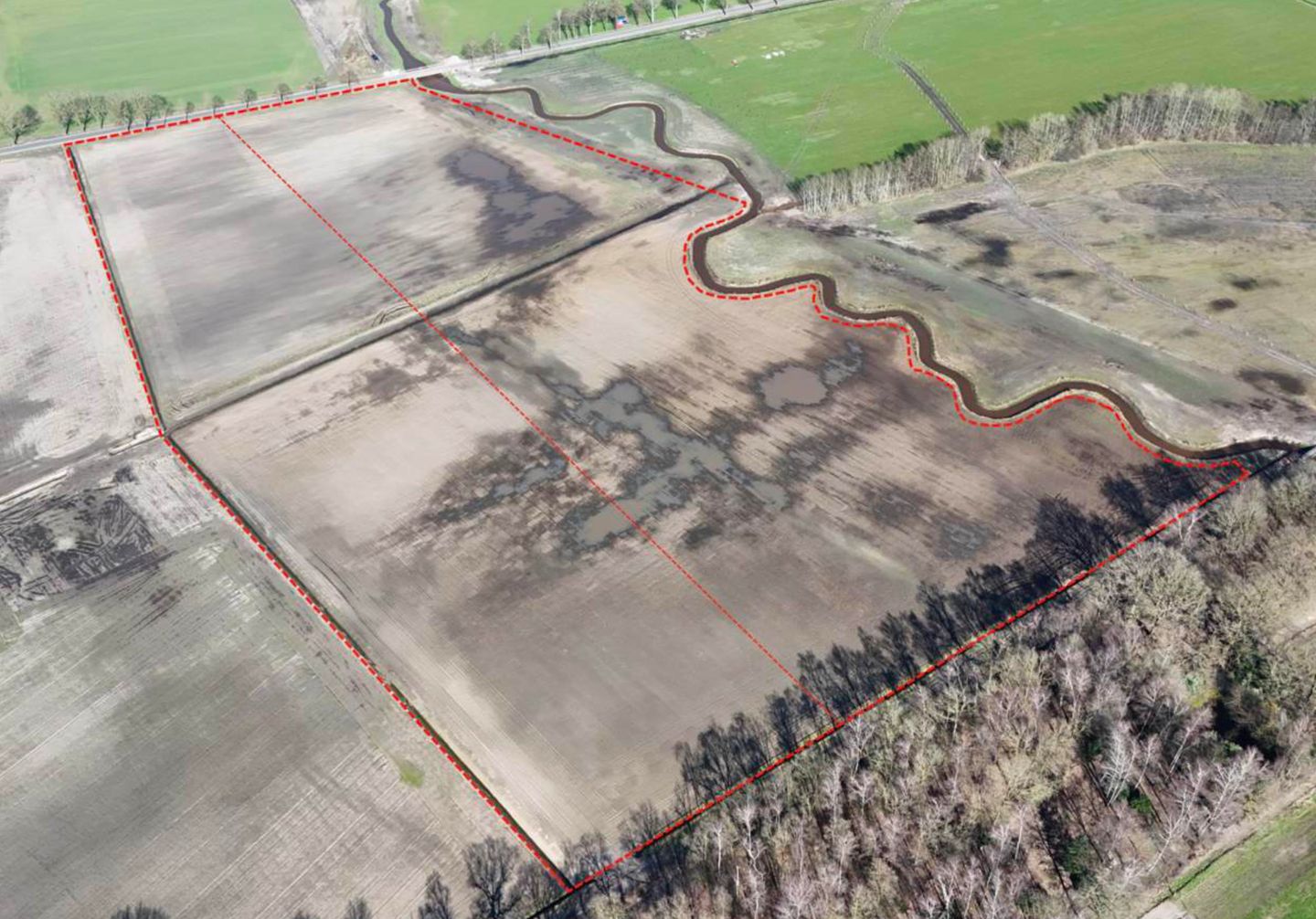 Bekijk foto 3 van Het Bosch