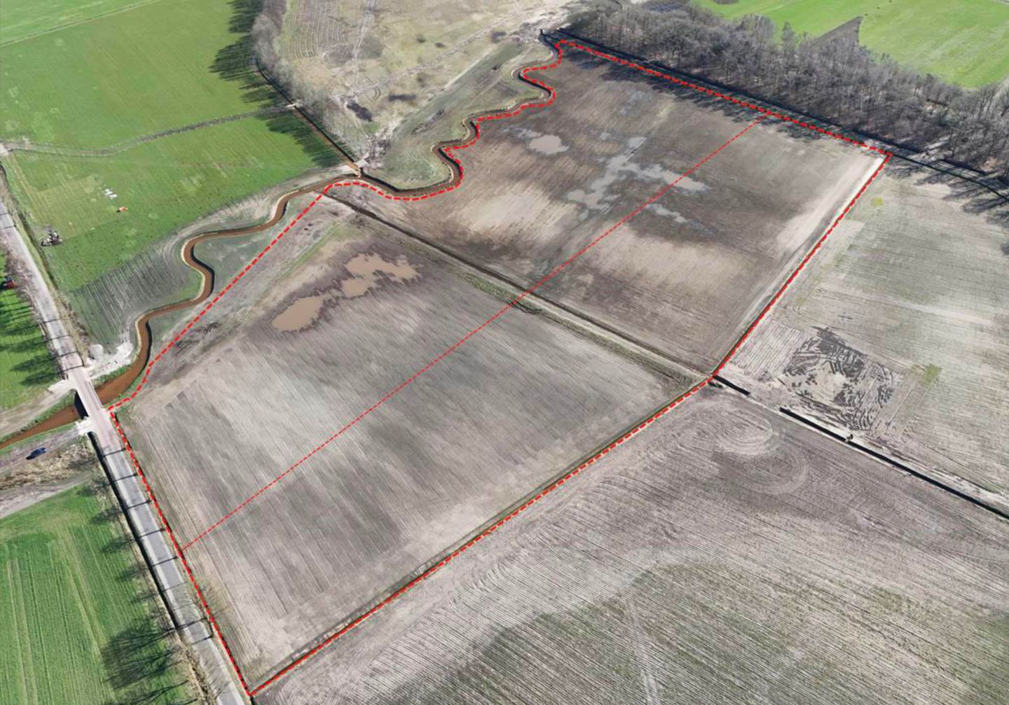 Bekijk foto 4 van Het Bosch