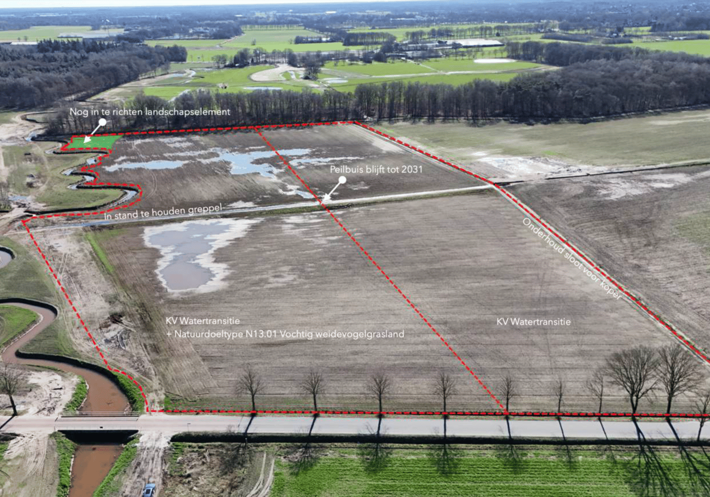 Het Bosch - Bladel - Afbeelding 7