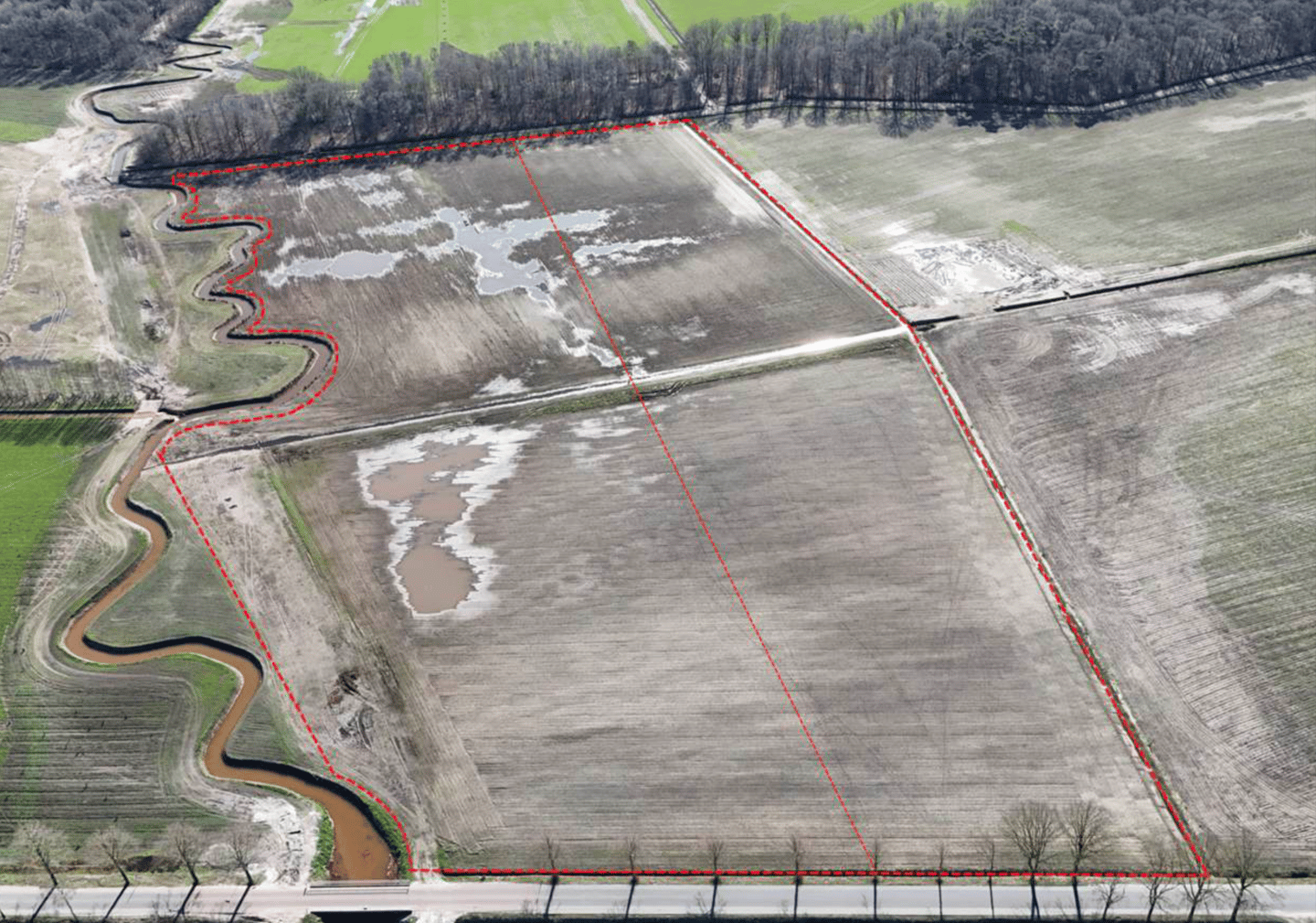 Bekijk foto 5 van Het Bosch