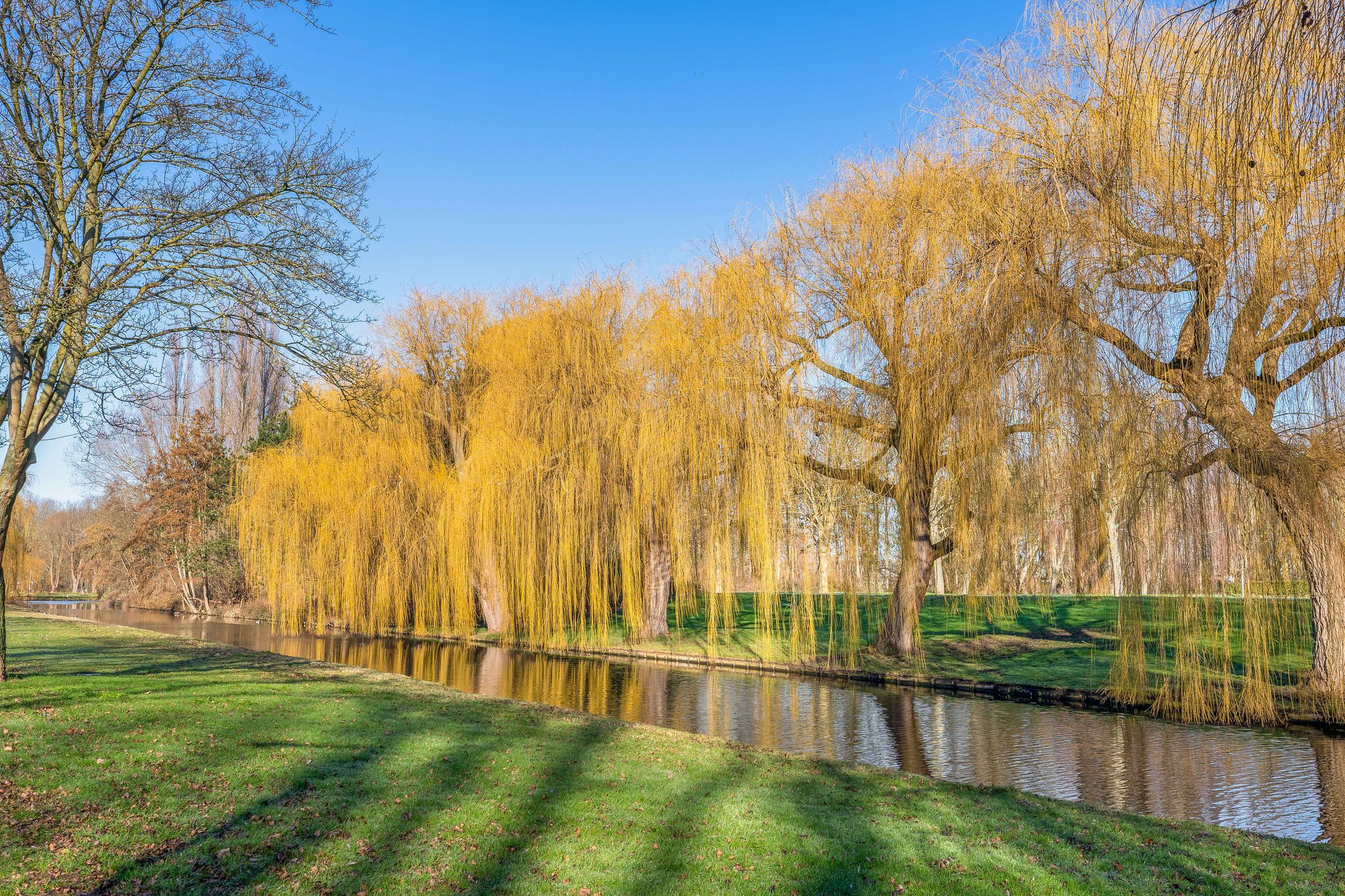 Foto 33 van Oudelandseweg 210