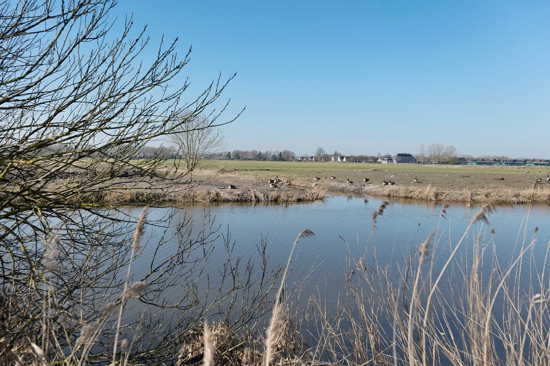 Foto 47 van Jakob Israël de Haanstraat 61