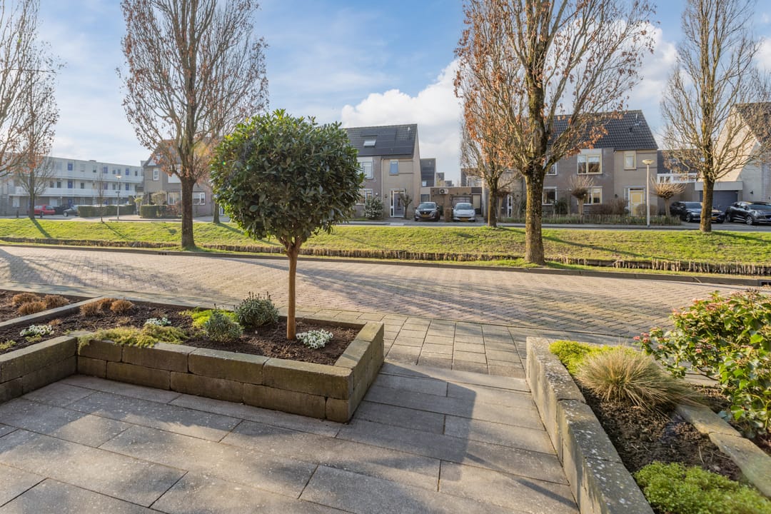 Photo 8 of Landlust 20