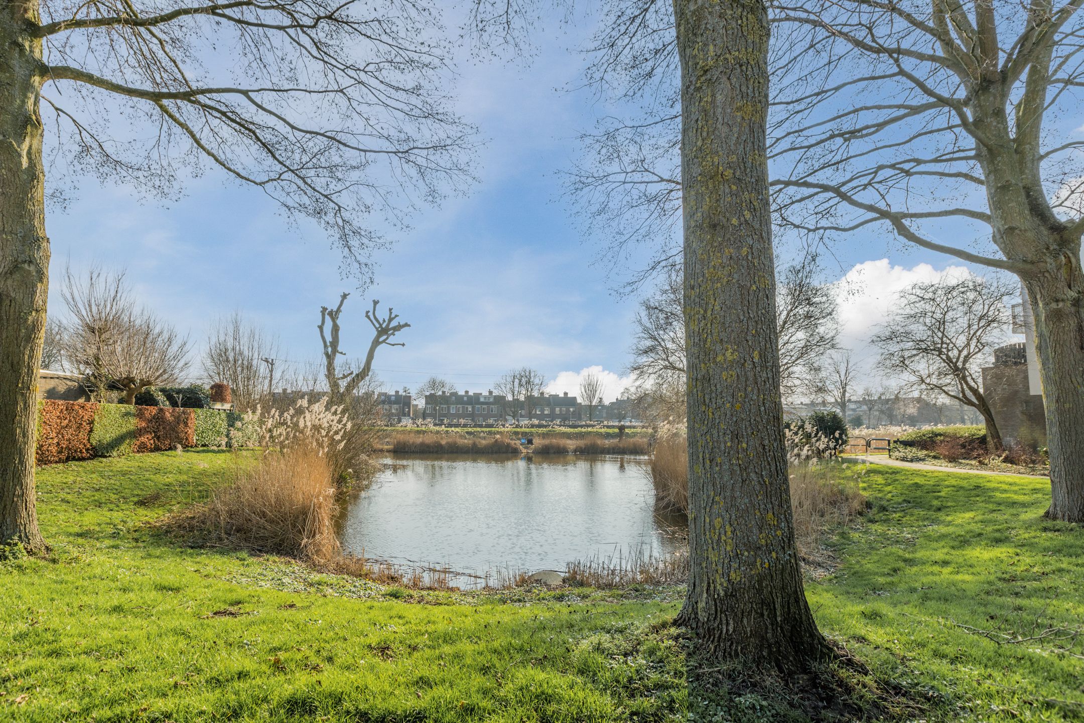 Photo 48 of Landlust 20