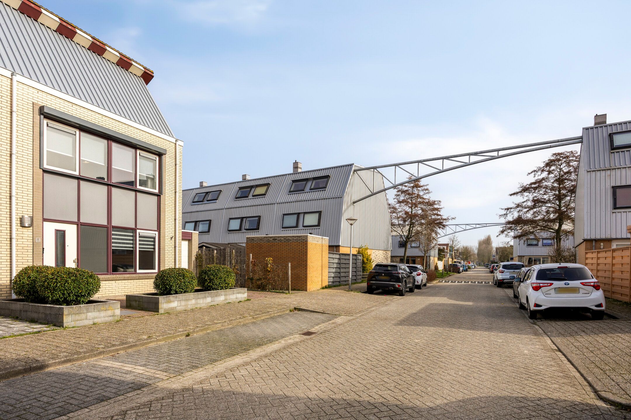 Photo 24 of Cees Buddingh'hof 17
