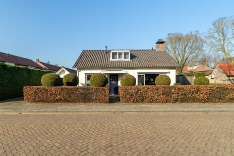 Olmenpad 1 secondary image