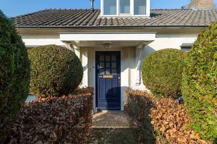 Foto 4 van Olmenpad 1