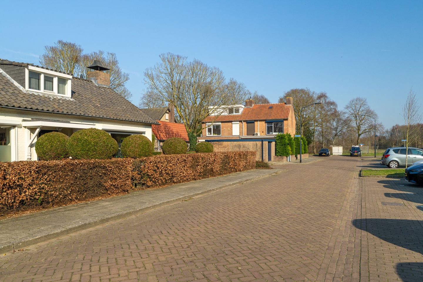 Foto 5 van Olmenpad 1