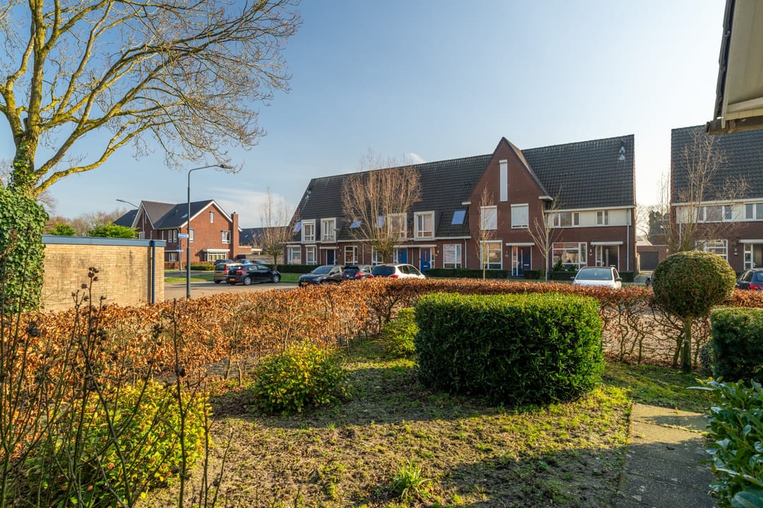 Foto 7 van Olmenpad 1