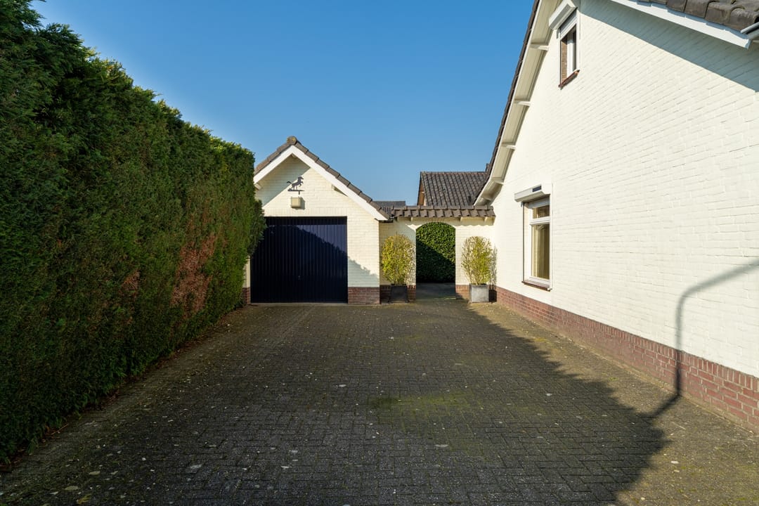 Foto 8 van Olmenpad 1