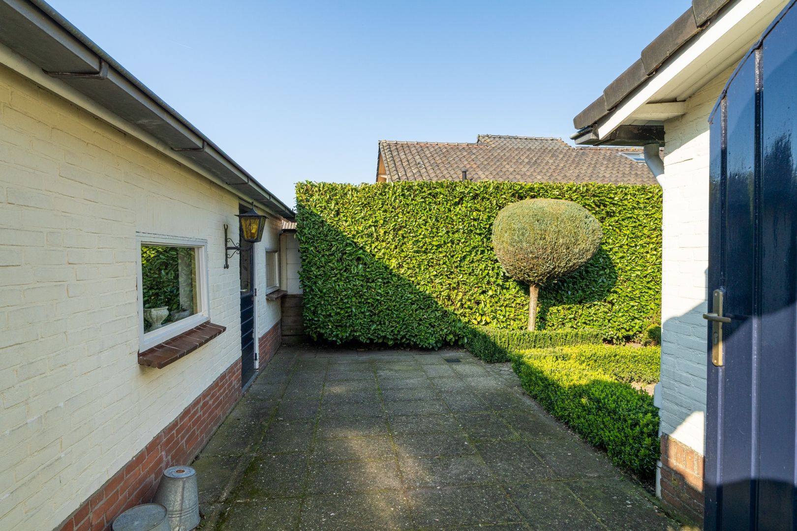 Foto 33 van Olmenpad 1