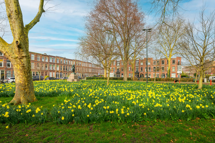 Foto 3 van Newtonplein 75