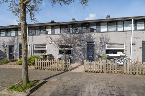 undefined main image