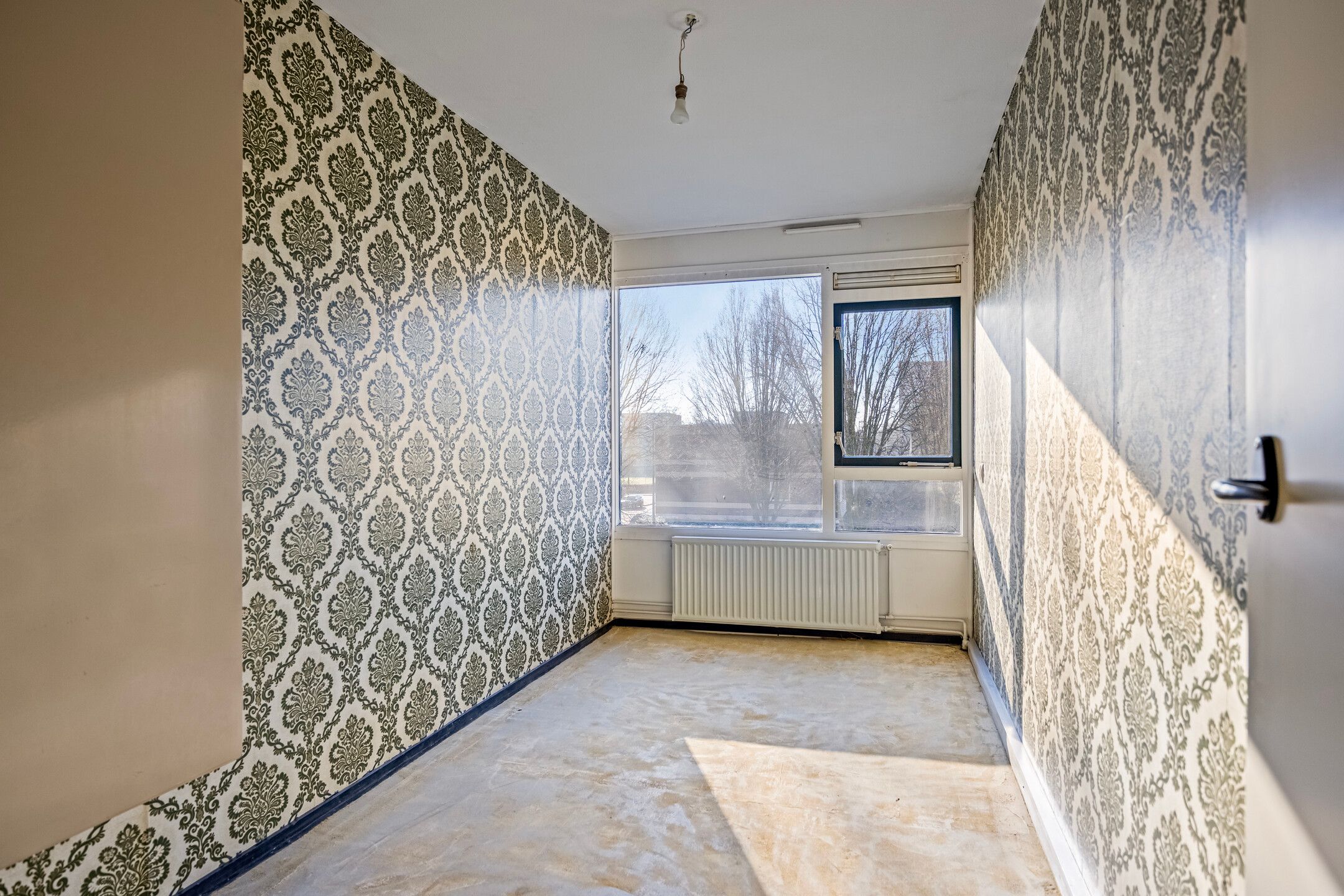Photo 18 of Nettelhorst 1