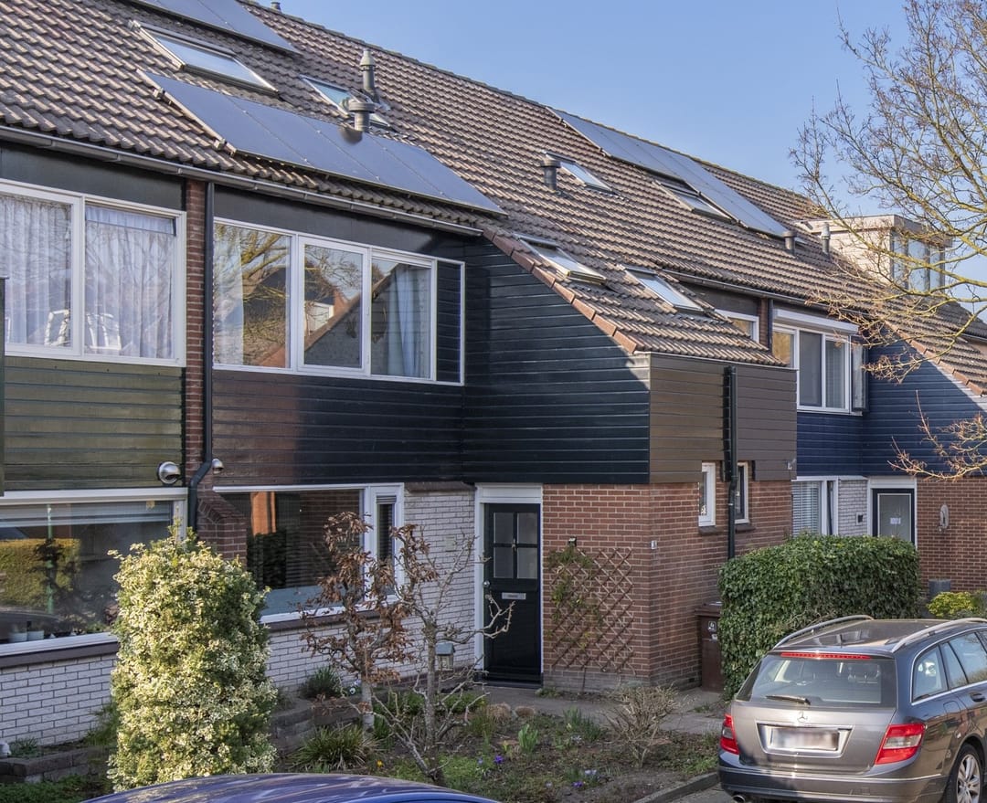 Photo 1 of Baardgras 36