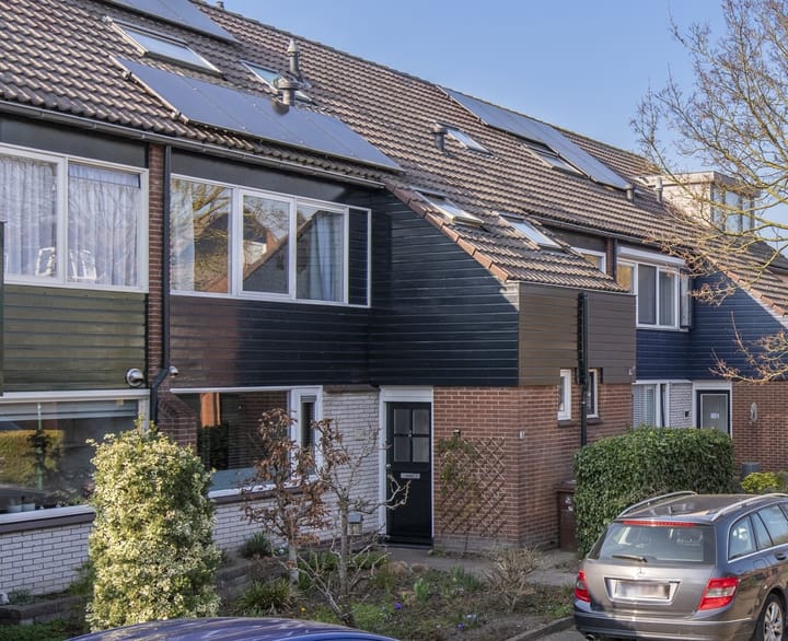 Baardgras 36 main image