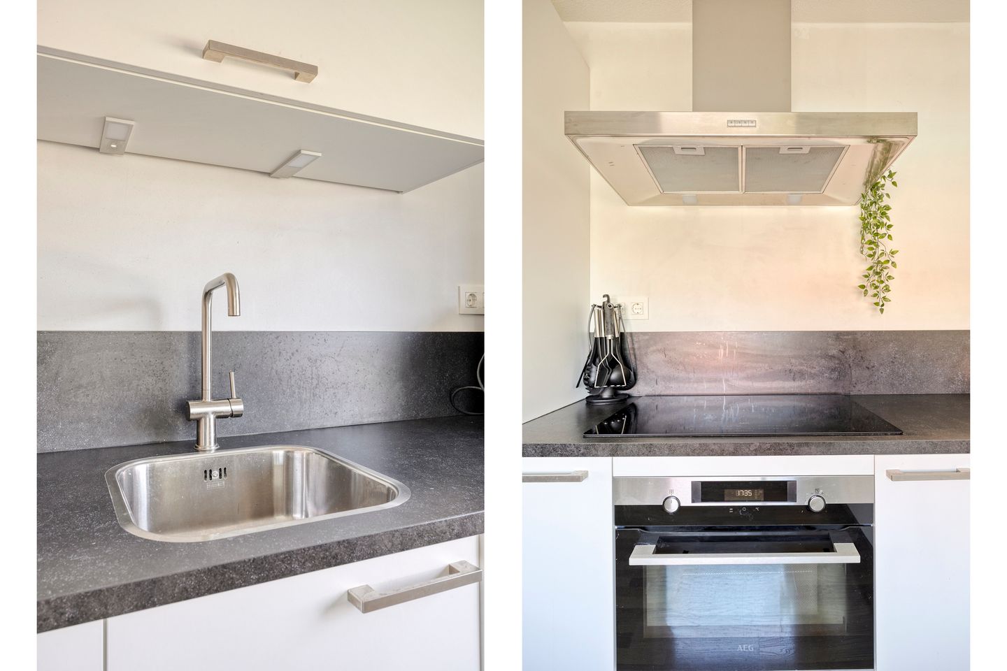 Foto 19 van Meerval 1