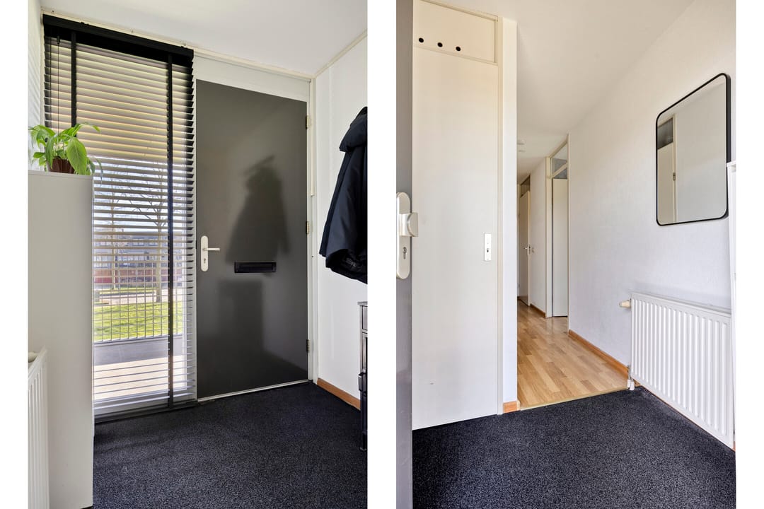 Foto 7 van Meerval 1