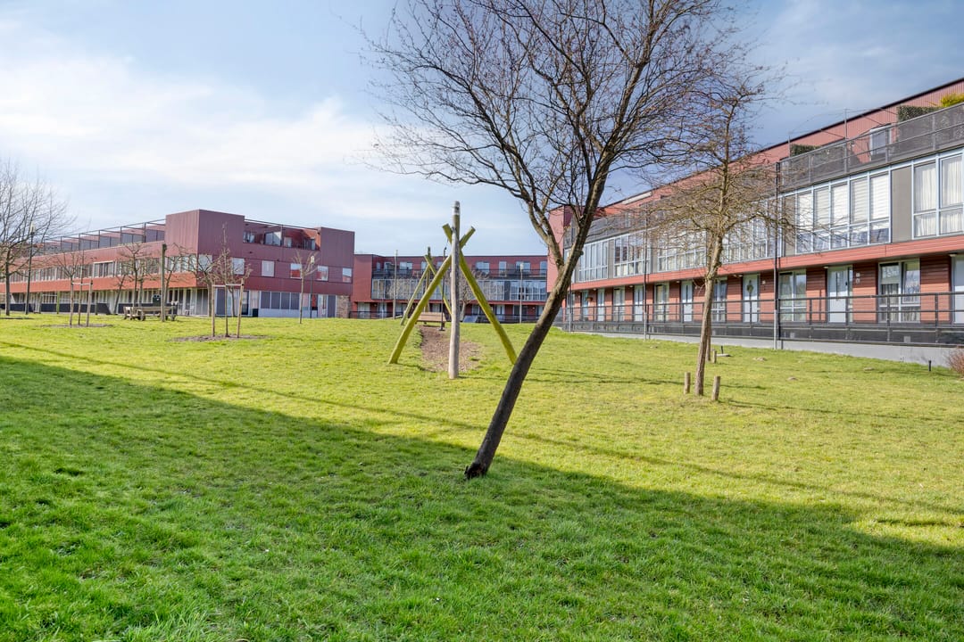 Foto 31 van Meerval 1