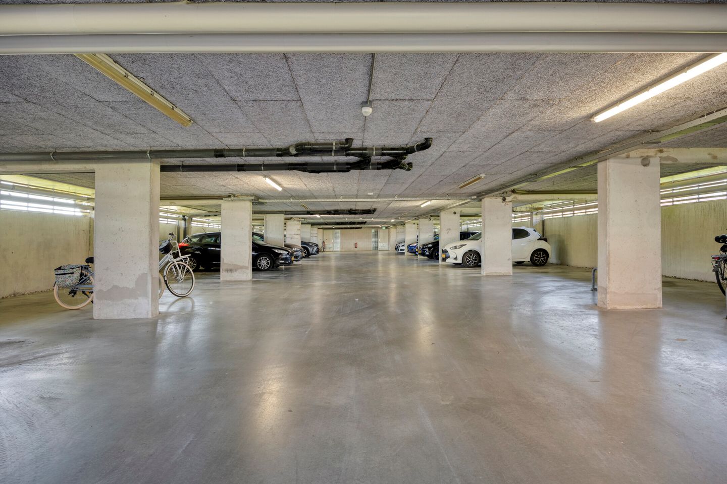 Foto 29 van Meerval 1