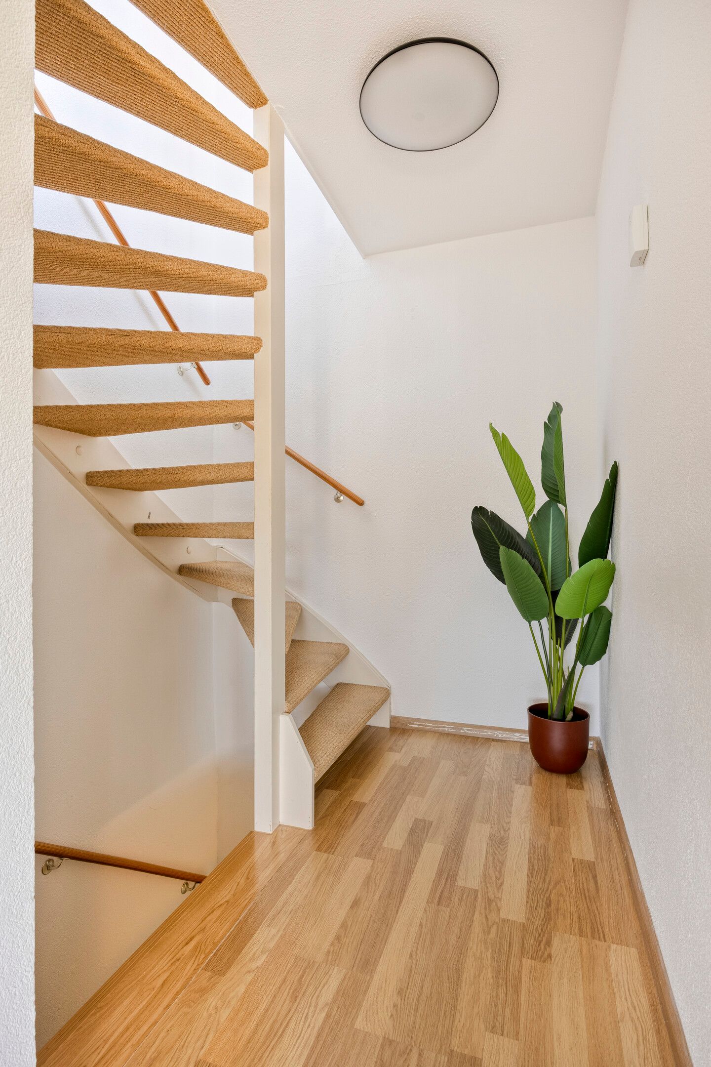 Foto 12 van Meerval 1