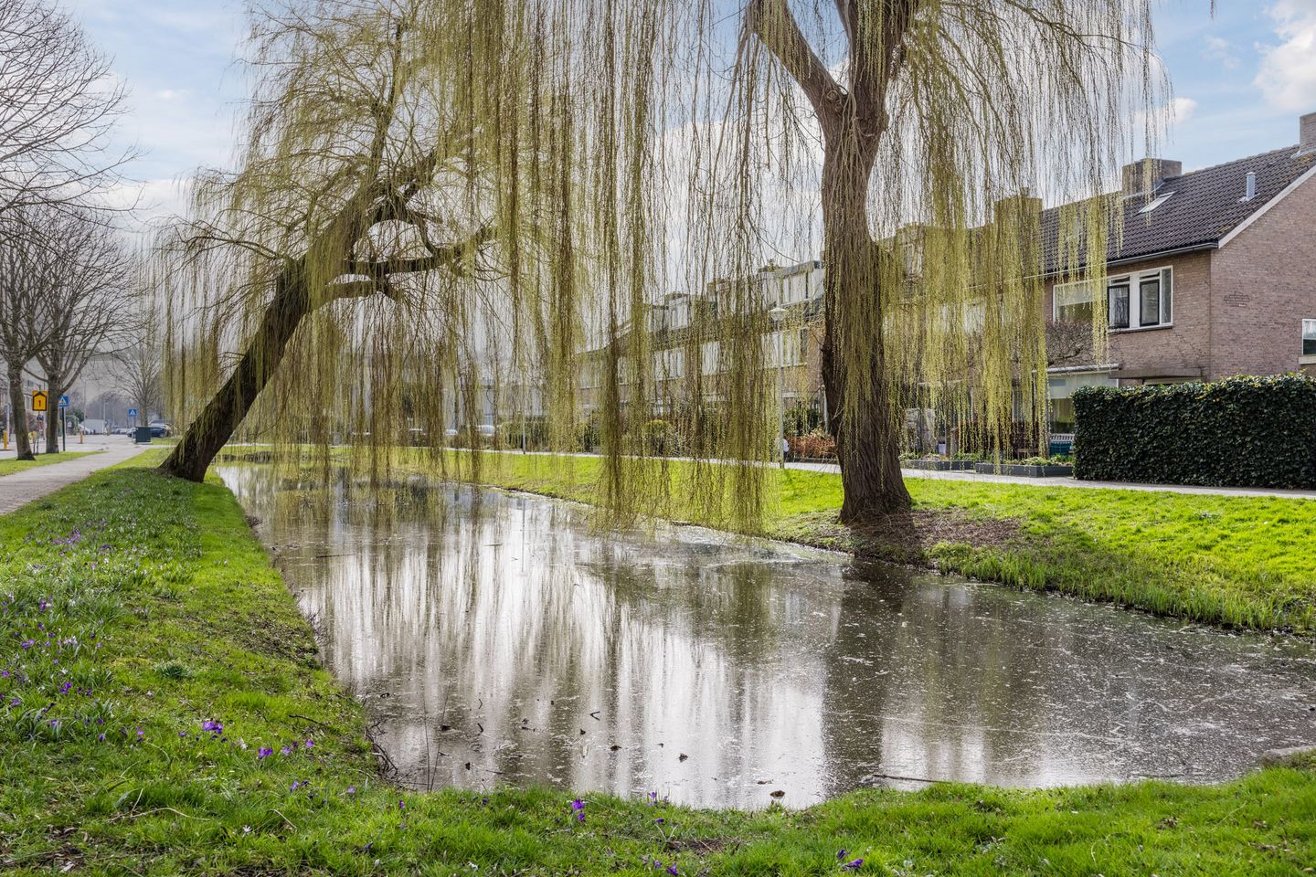 Foto 4 van Plantage 31