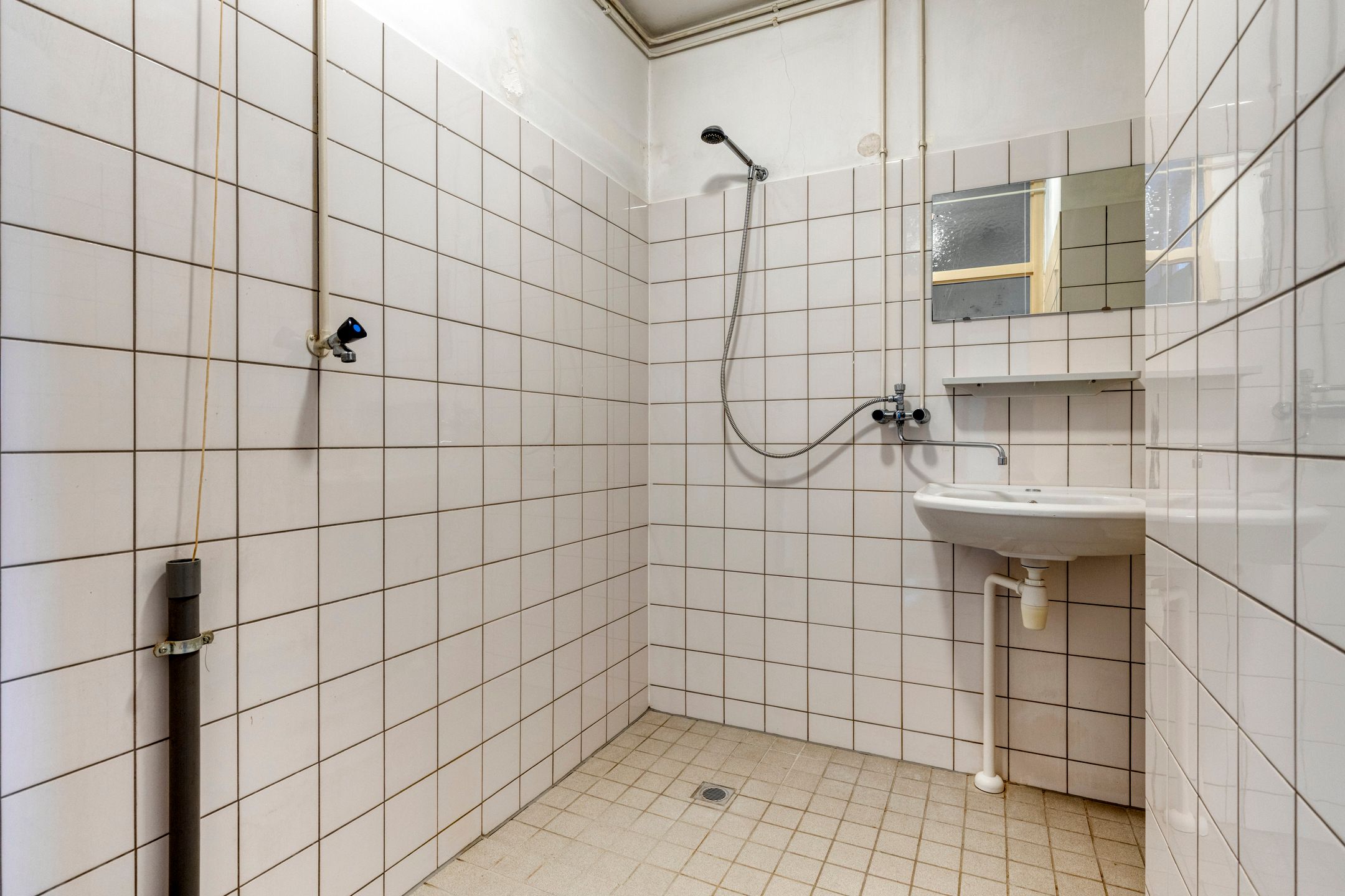 Foto 30 van Westervenne 394