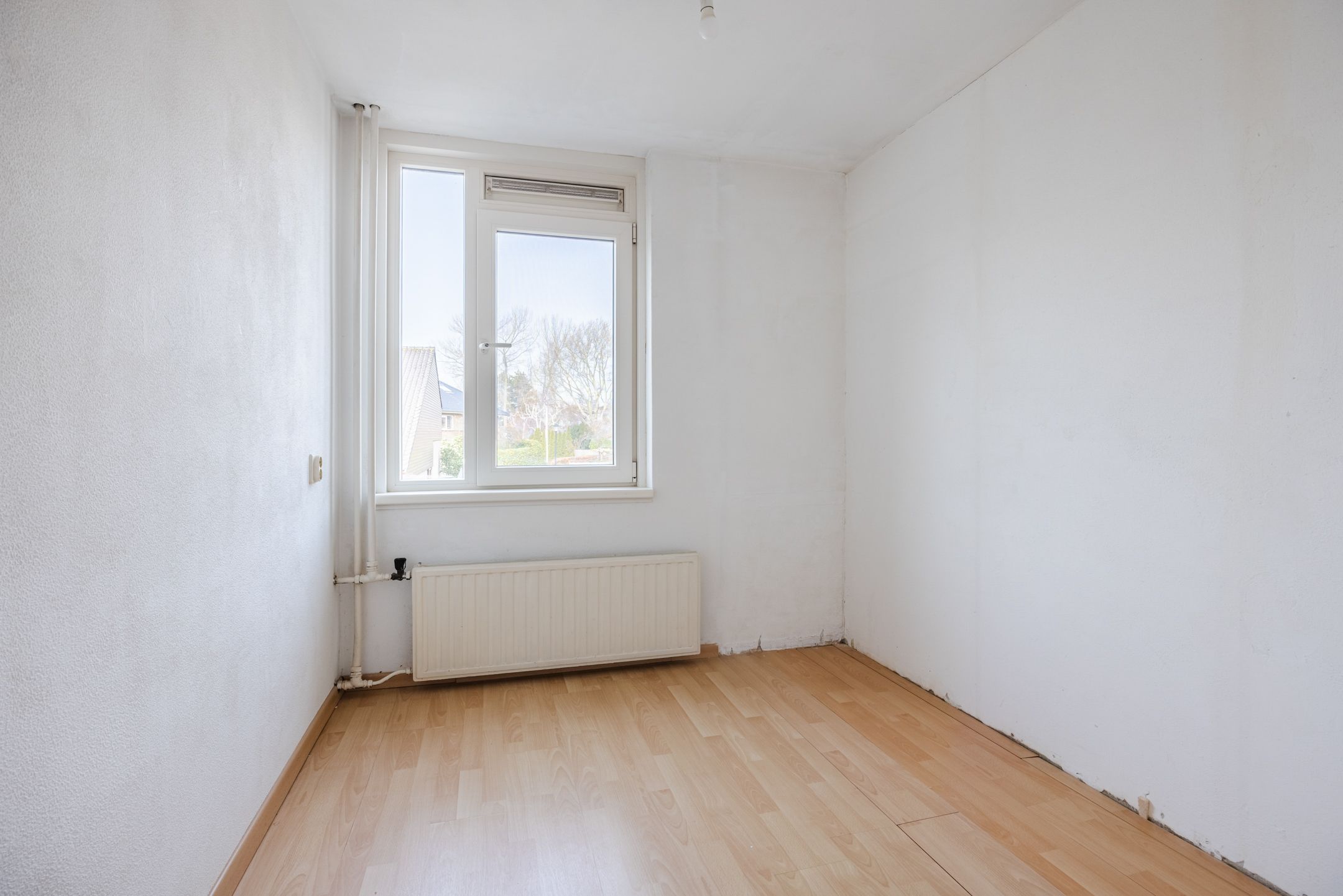 Foto 24 van Plantage 31