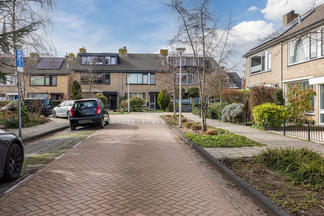 Foto 37 van Plantage 31