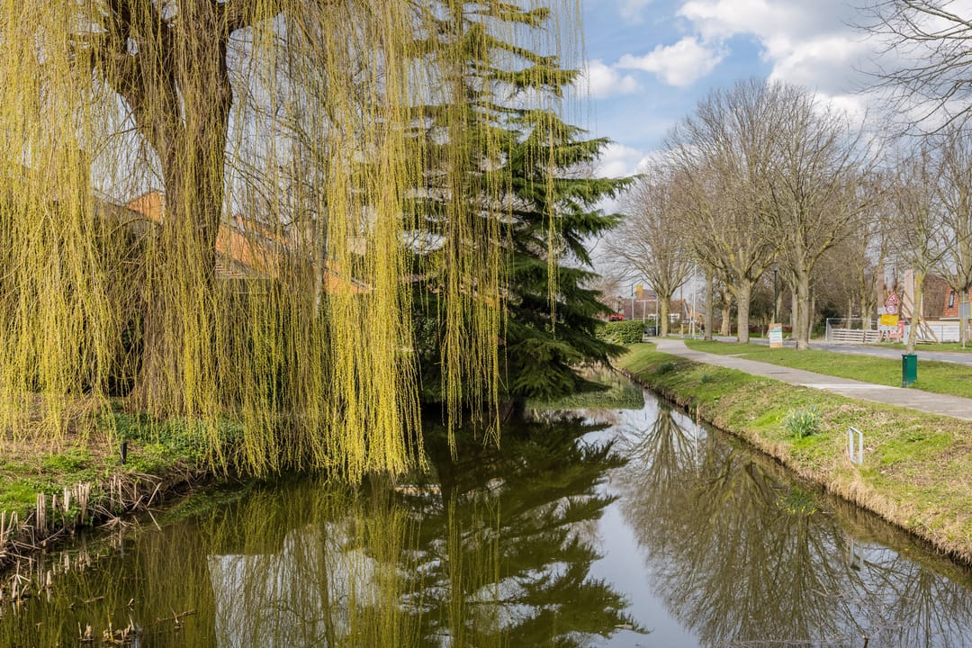 Foto 38 van Plantage 31