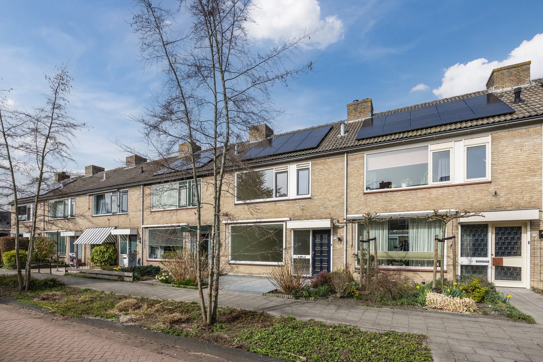 Foto 2 van Plantage 31