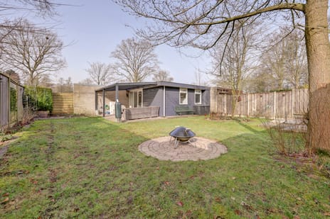 undefined main image