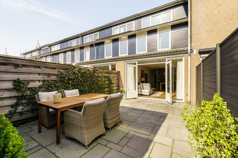 Vijfvingerkruid 16 tertiary image