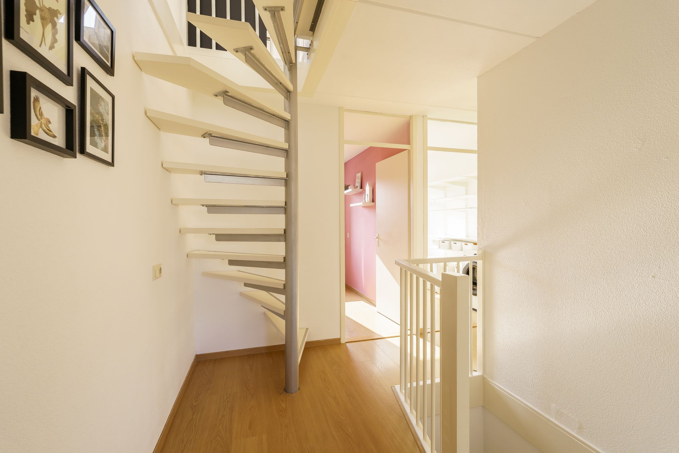 Foto 18 van Vijfvingerkruid 16