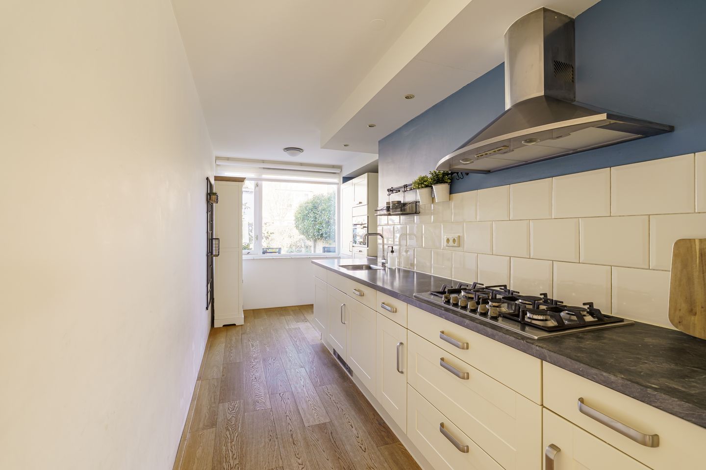 Foto 10 van Vijfvingerkruid 16