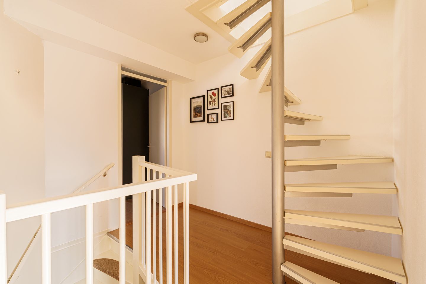 Foto 29 van Vijfvingerkruid 16