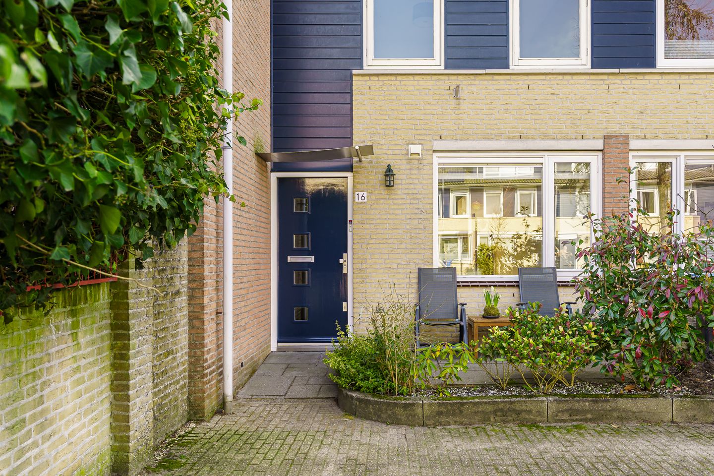 Foto 35 van Vijfvingerkruid 16