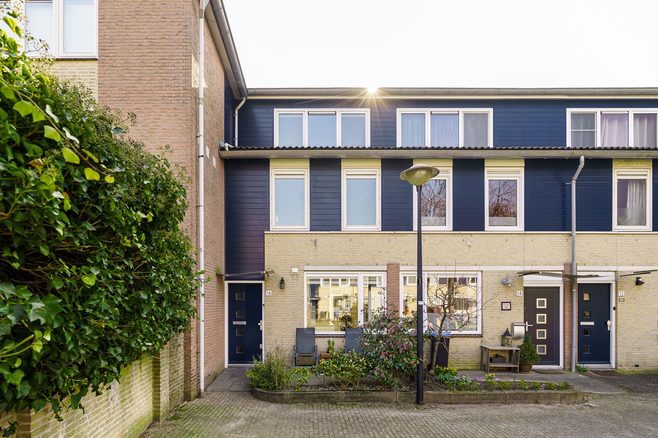 Foto 36 van Vijfvingerkruid 16