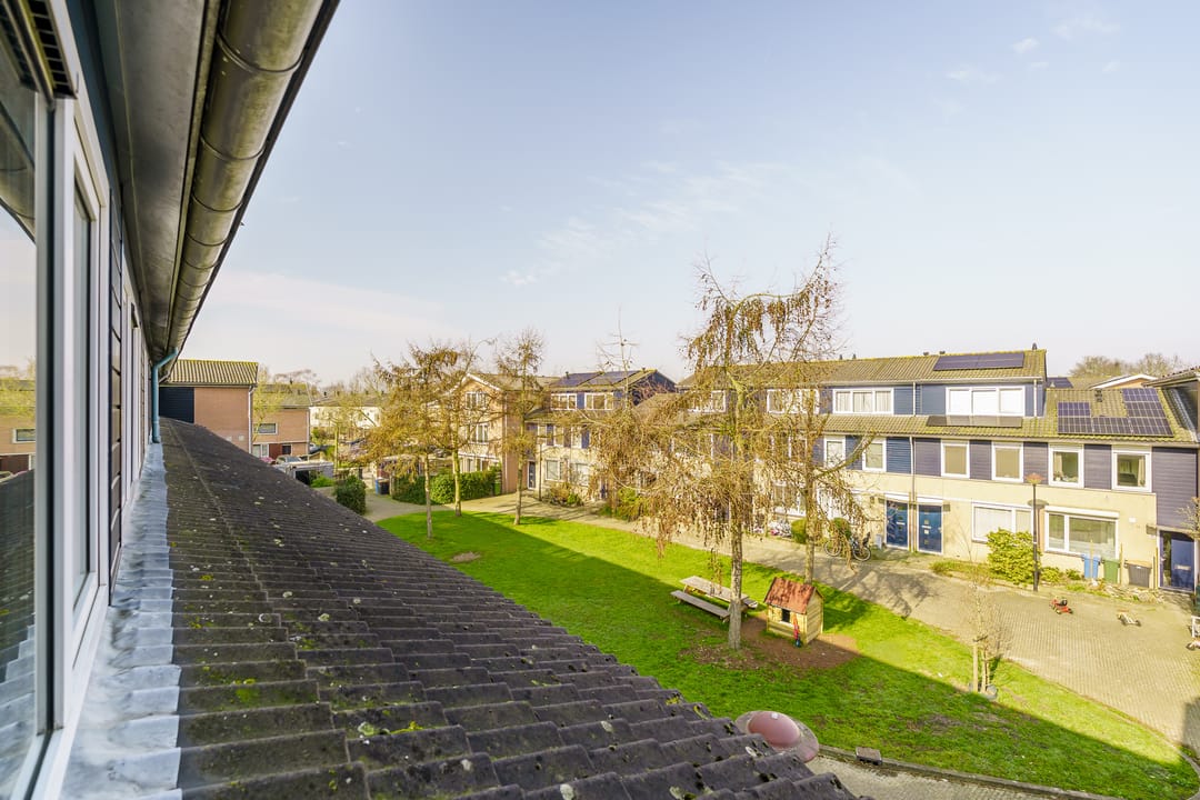 Foto 37 van Vijfvingerkruid 16