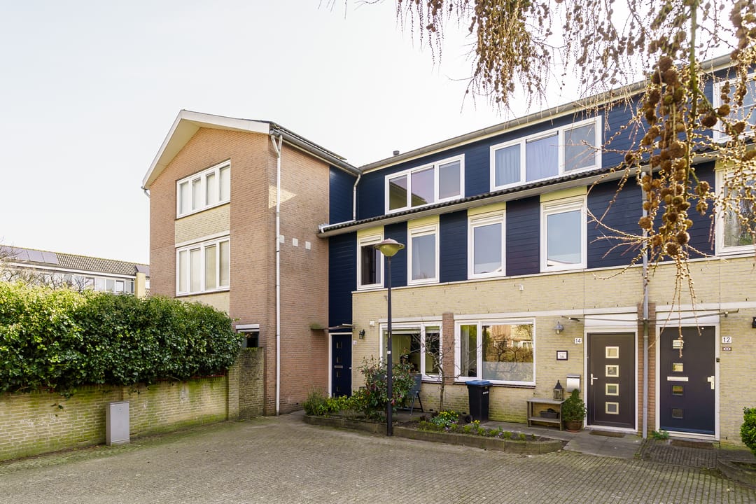 Foto 38 van Vijfvingerkruid 16