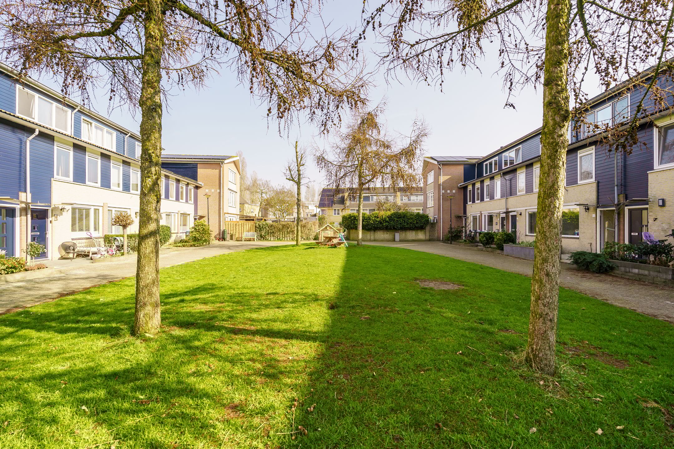 Foto 39 van Vijfvingerkruid 16