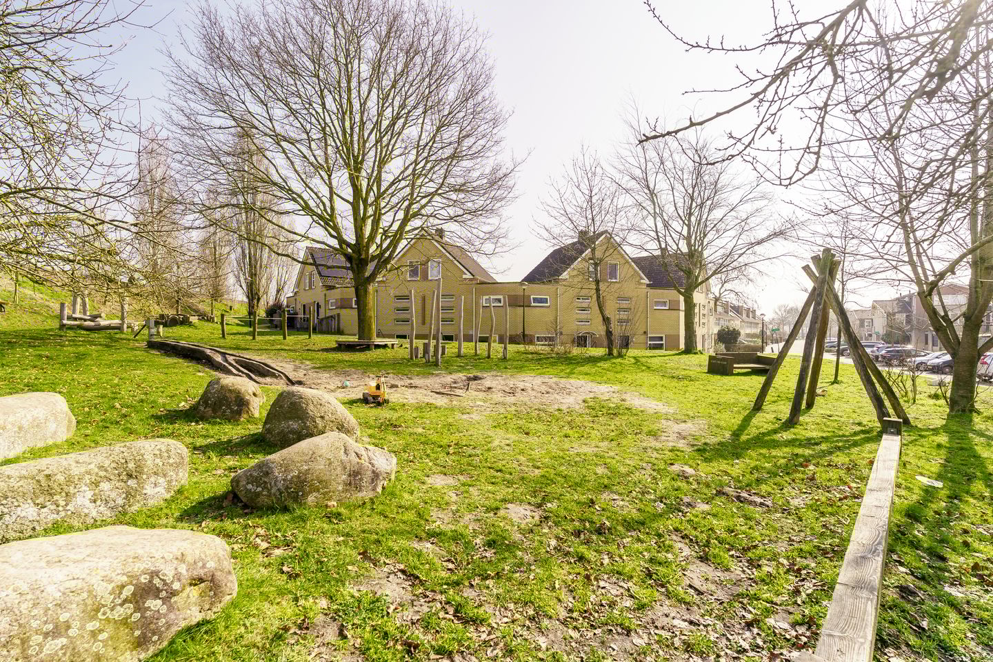 Foto 40 van Vijfvingerkruid 16