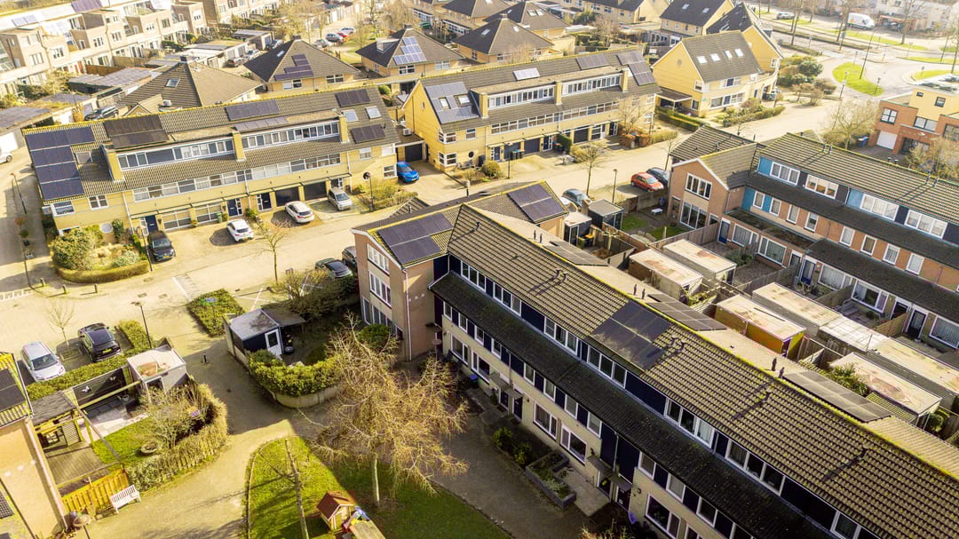 Foto 41 van Vijfvingerkruid 16