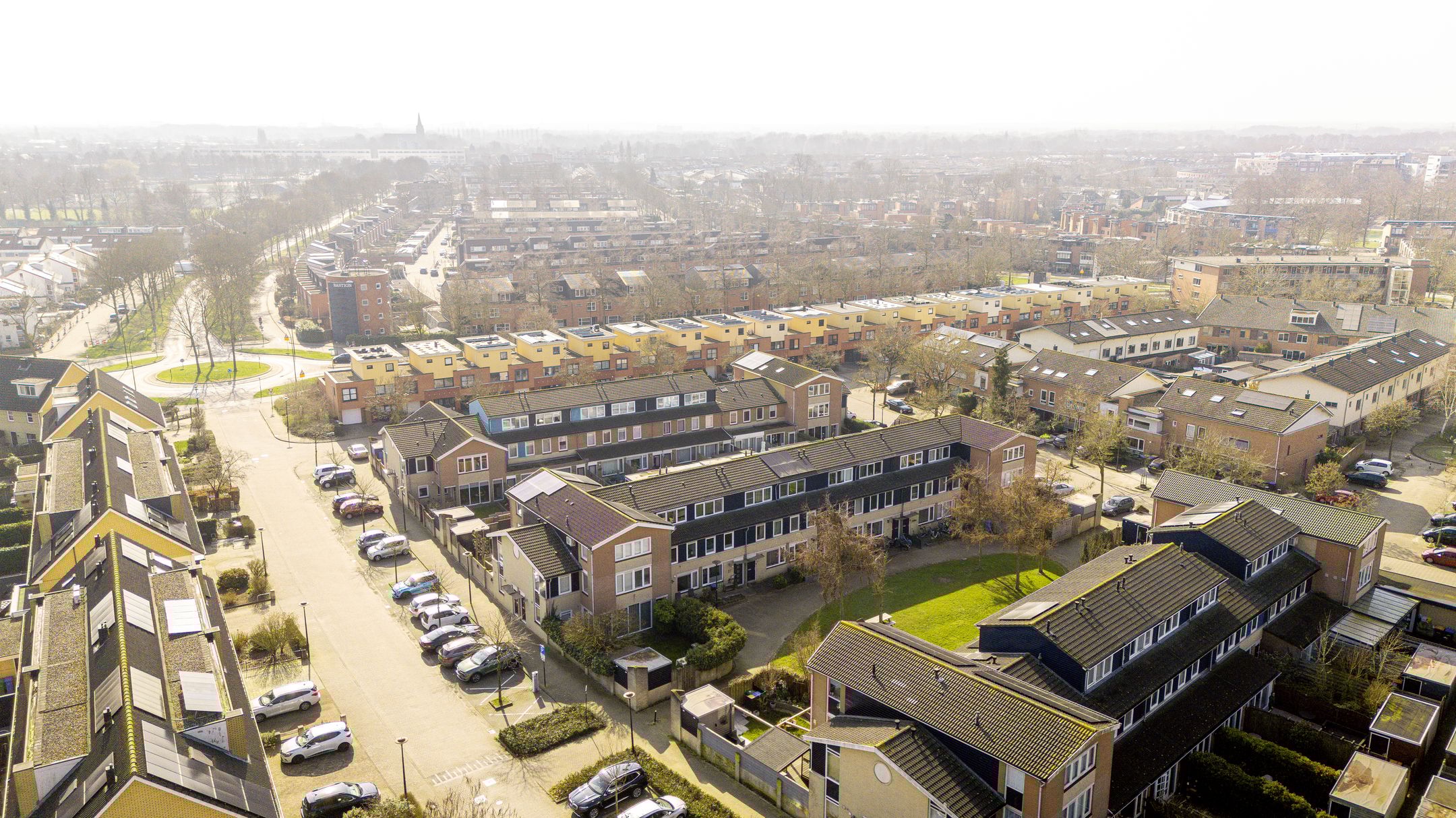 Foto 42 van Vijfvingerkruid 16