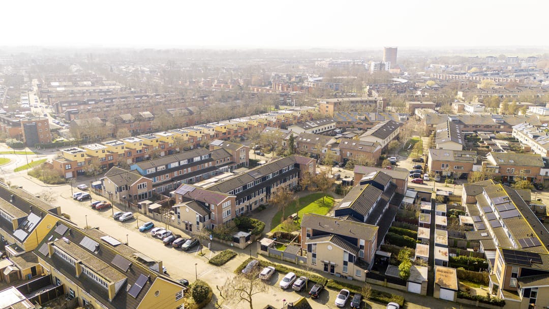 Foto 43 van Vijfvingerkruid 16