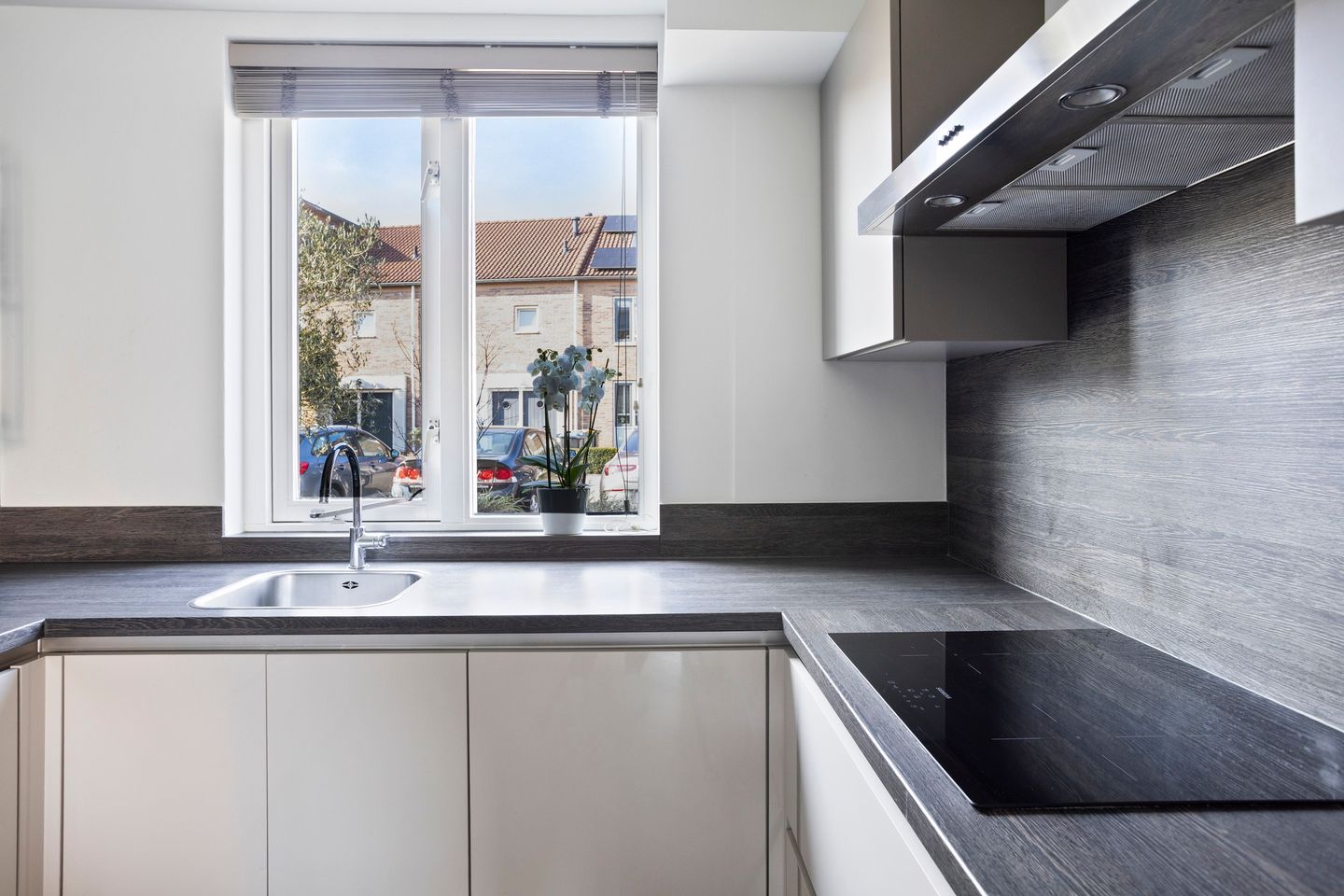 Foto 10 van Pronkmos 79